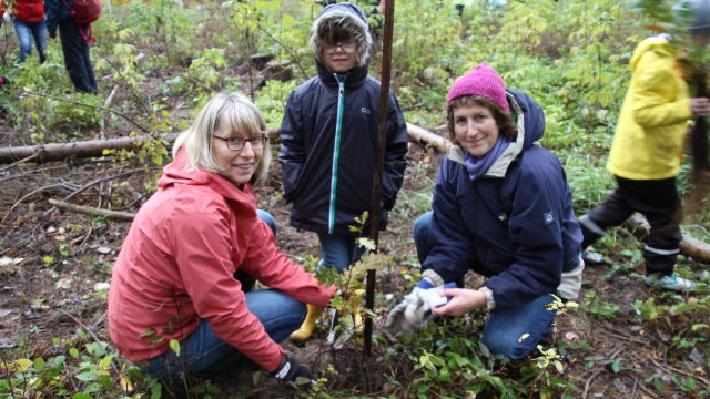 1.300 Bäume in Gneus gepflanzt