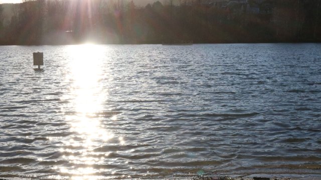 Ab in die kalten Fluten zum Neujahrsschwimmen