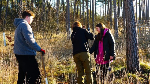 Eichen auf dem Cospoth gepflanzt