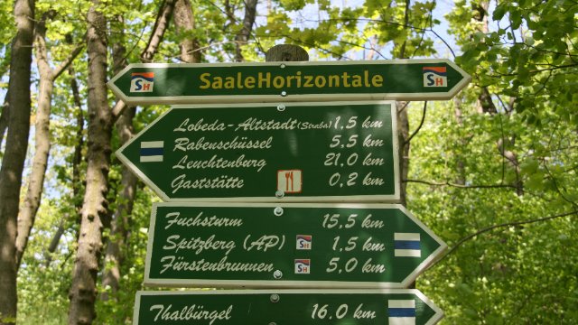 SaaleHorizontale bleibt Qualitätsweg