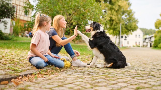 Stadtwerke HEIMVORTEIL geht in eine neue Runde