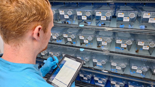 Bewertungssystem zur Fischgesundheit