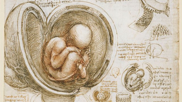 Forschungsförderung für den Nachwuchs