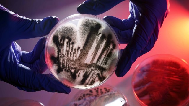 FSU Jena in Finalrunde des Exzellenz-Wettbewerbs