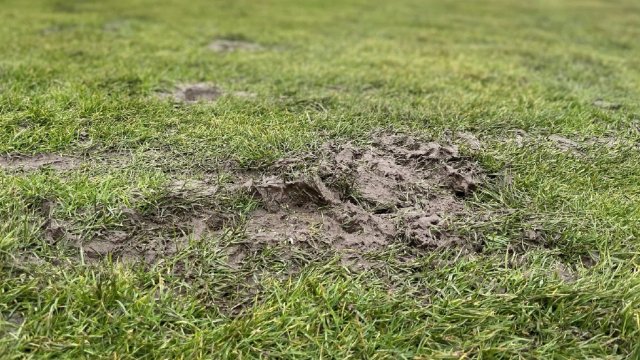 Abgesagt: FCC bei Lok Leipzig