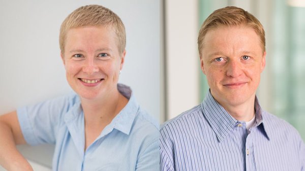 Proteinarme Ernährung könnte Leben verlängern