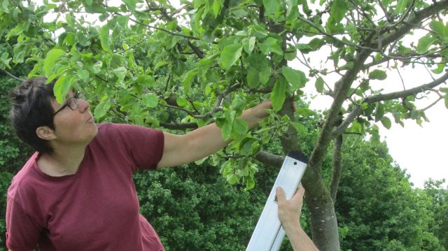 Arbeitseinsatz auf der Trüperwiese