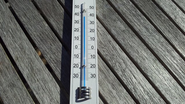 Innovativer VHS-Kurs „klimafit“