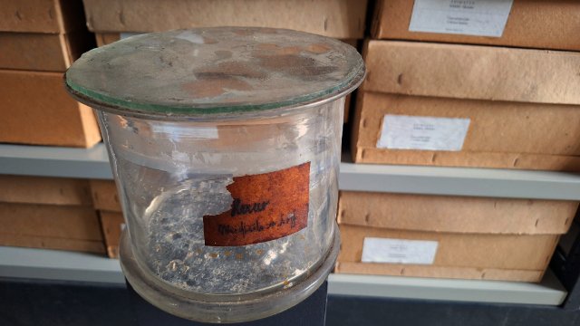 Ausstellung zur Herkunft von Sammlungsobjekten