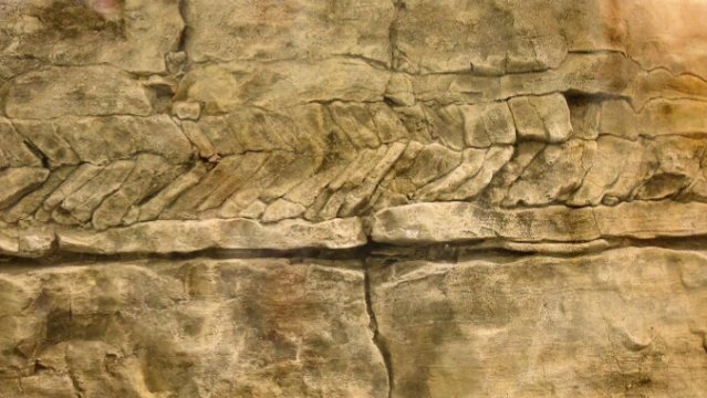 Die Sprache der Steine