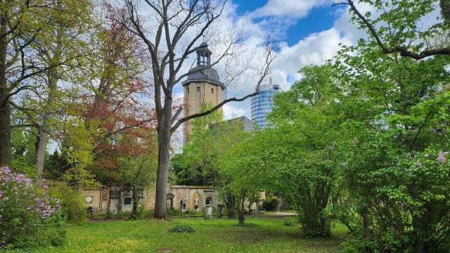 Einsatz für den Johannisfriedhof 