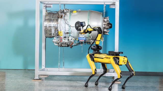 3D-Vermessung auf vier Pfoten