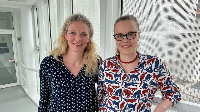 Abrupte epigenomische Alterung des Darms