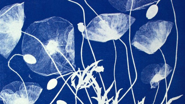 Workshop Solarfotografie