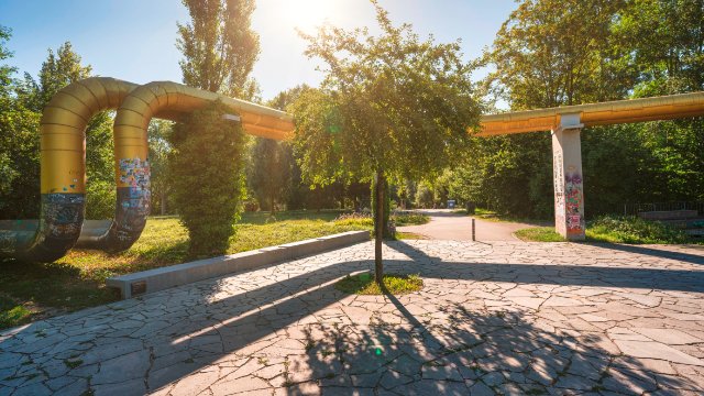 20 Jahre Adern von Jena