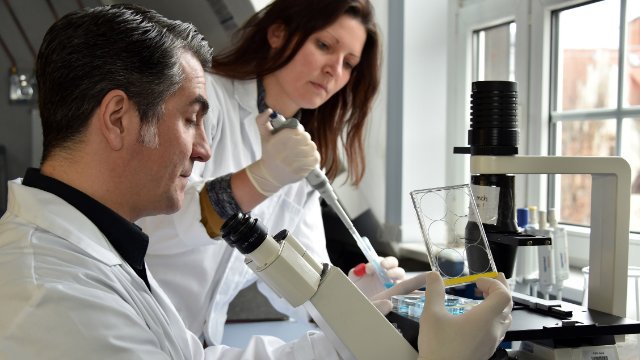 Chronische Entzündungen durch Ansätze aus der Natur behandeln