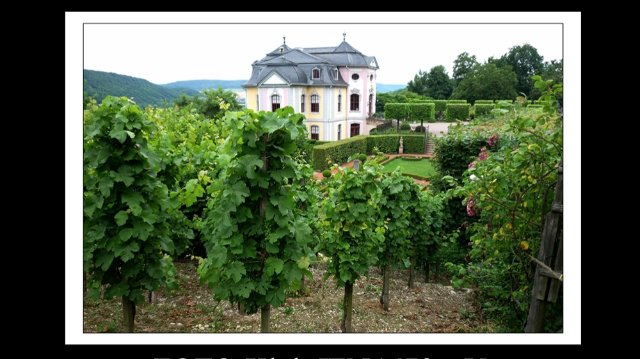 Foto-Ausstellung zum Weinbau in Jena