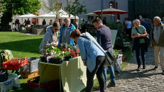 Dornburger Pflanzenbörse am 11. Mai