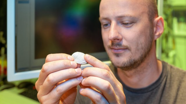 Wie Tast- und Sehsinn zusammenarbeiten