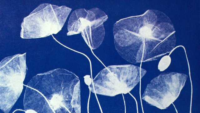 Workshop Solar-Fotografie