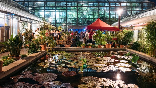 Karten für das Uni-Sommerfest