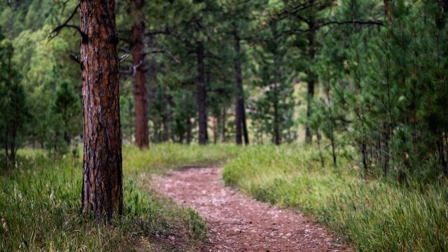 14. Jenaer Familienwandertag