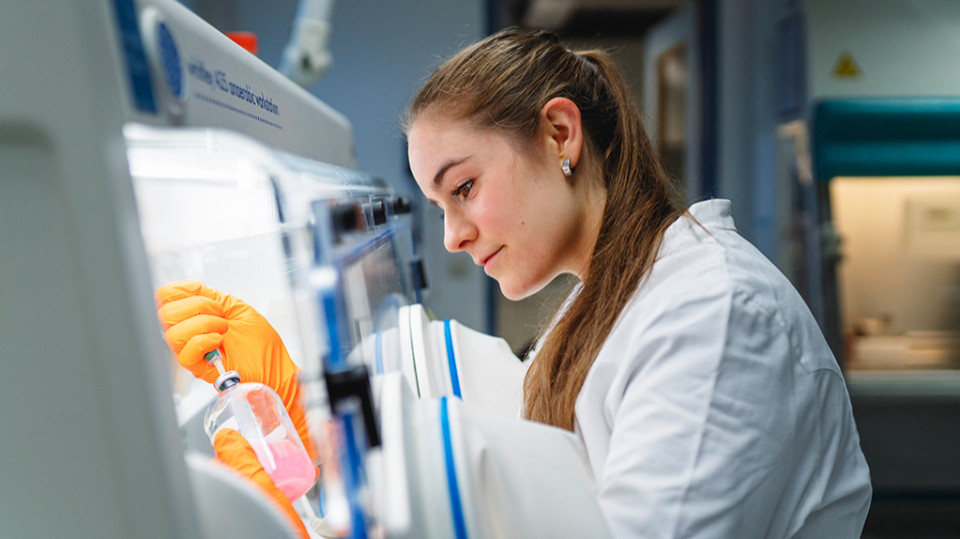 Synthetische Biologie lüftet Geheimnisse des Lebens ohne Sauerstoff