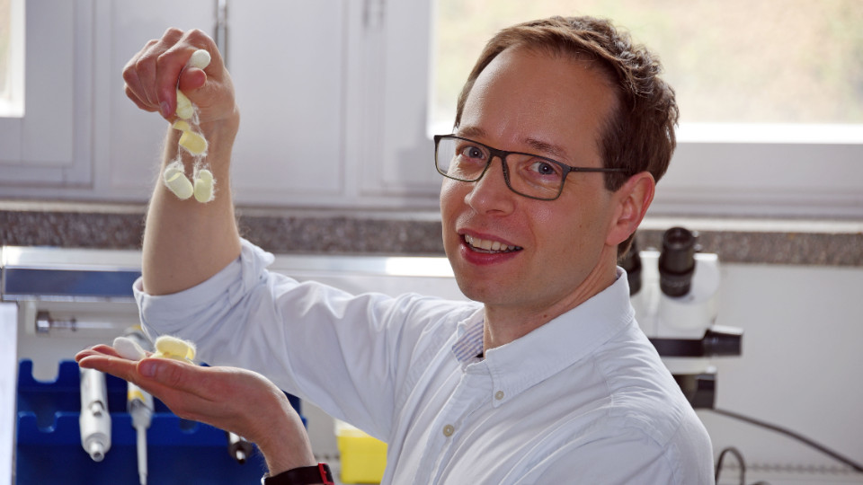 Die Geheimnisse der Seidenfäden entschlüsseln