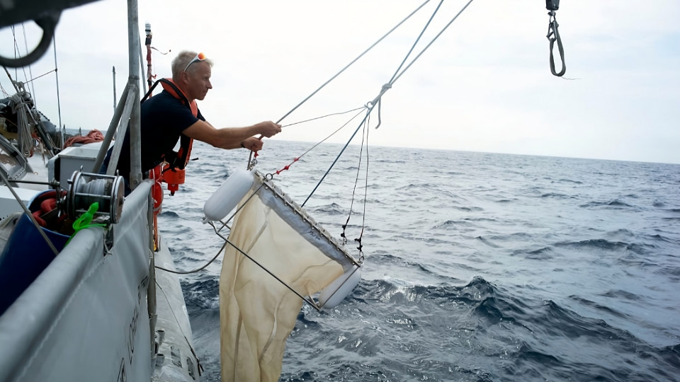 Jenaer Forschungsteam entdeckt Mechanismus zur Verjüngung von Einzellern