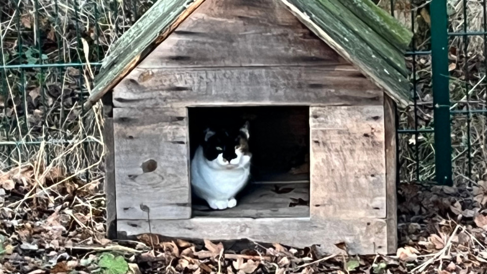 Landkultur 2024: „HEIMAT“ – eine Ausstellung