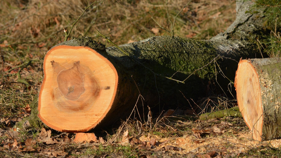 Vollsperrung zwischen Camburg und Stöben