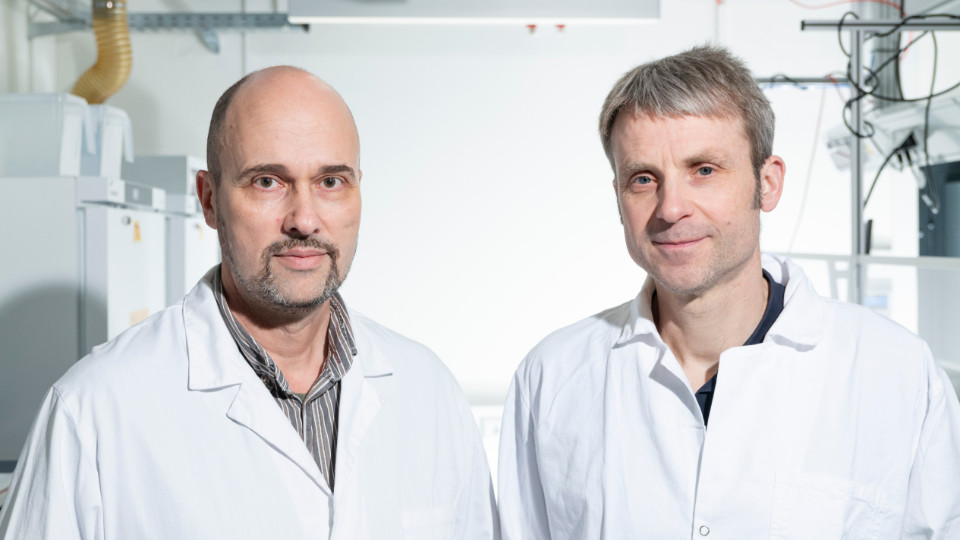 Physikalische Phänomene anschaulich erklärt            