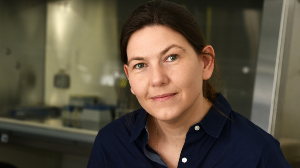 Einblicke und Ausblicke in Raum und Zeit