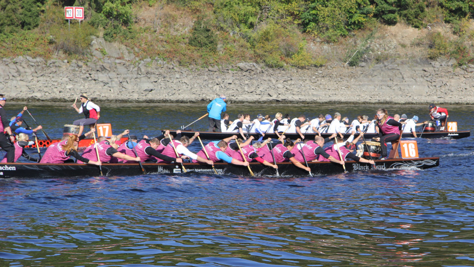 Langstreckenregatta im Drachenbootsport auf der Bleilochtalsperre