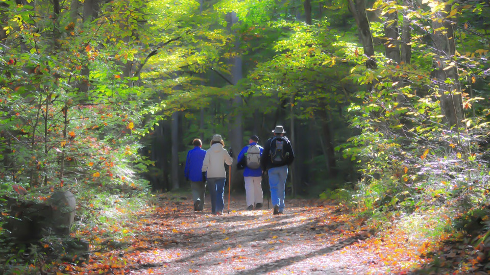 Unterstützung für Demenzangebot „Wanderung“ gesucht
