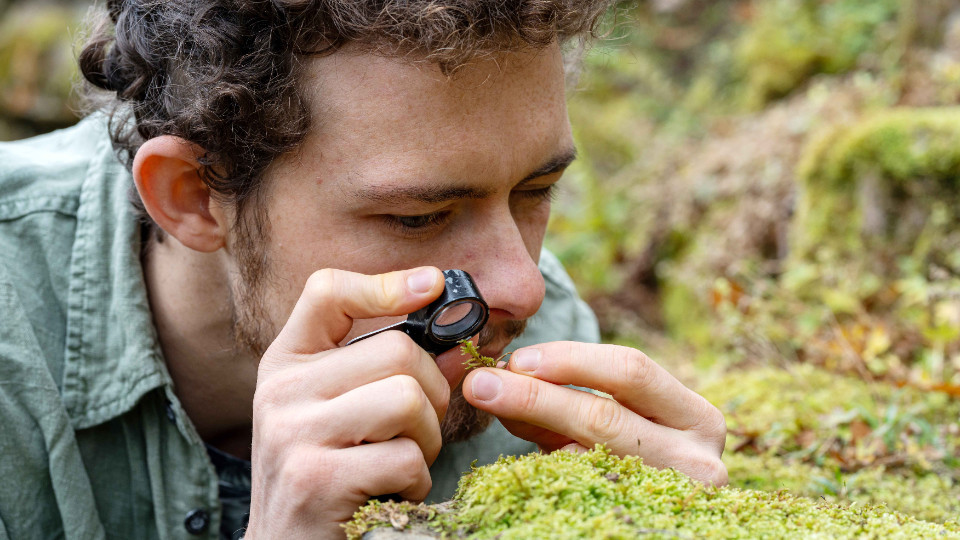 Deutschlandweit einzige Professur zu Moosen in Jena