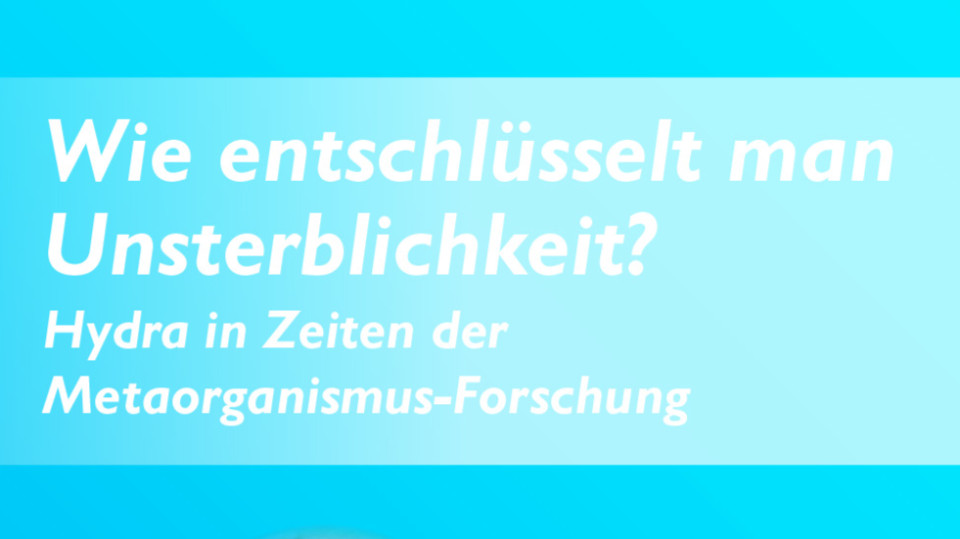 Wie entschlüsselt man Unsterblichkeit? 