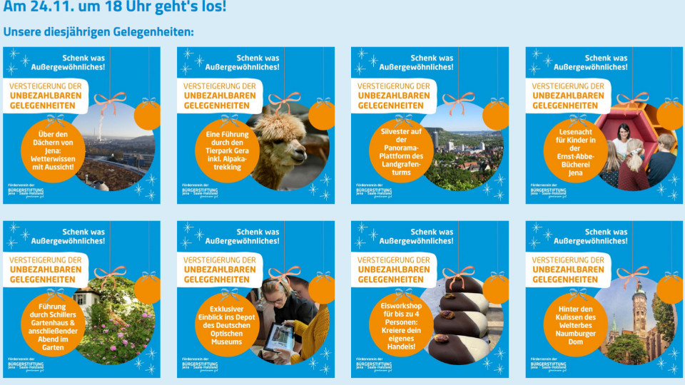 Versteigerung von unbezahlbaren Gelegenheiten