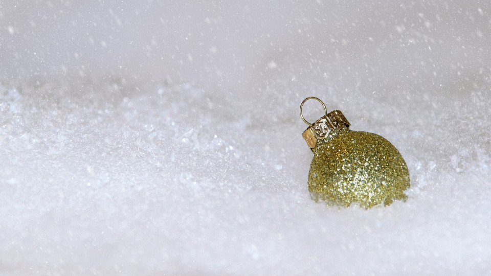 Umweltfreundliche Abfallentsorgung zu den Feiertagen