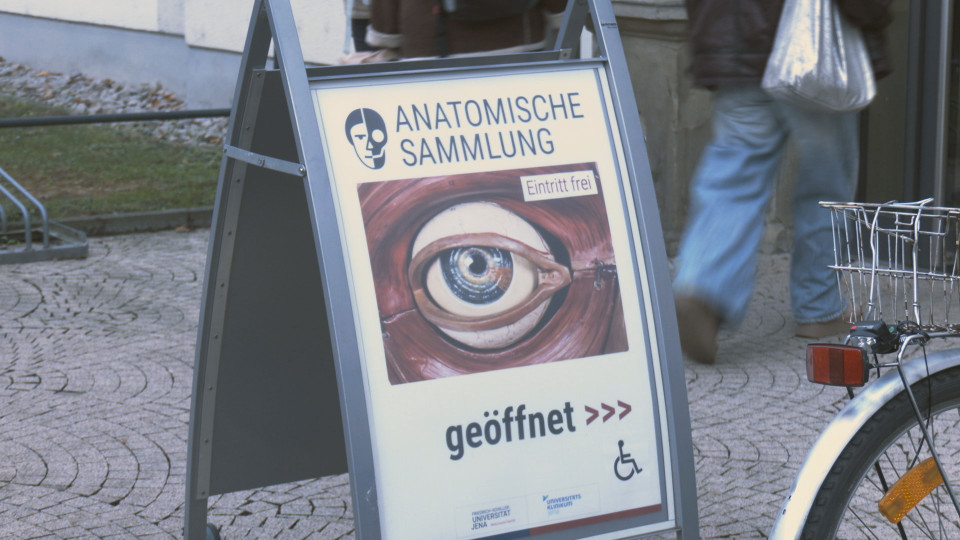 Anatomische Sammlung mit Förderpreis geehrt