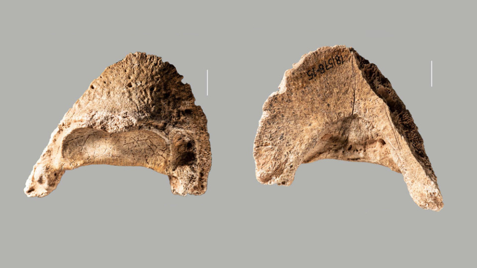 Neues Bild der Menschen des Jungpaläolithikums