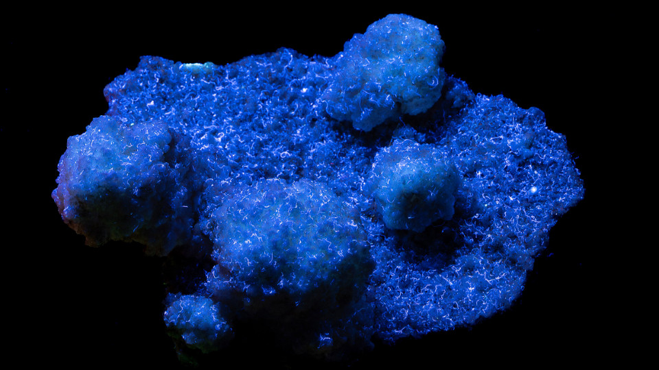 UV-Kabinett wird wiedereröffnet