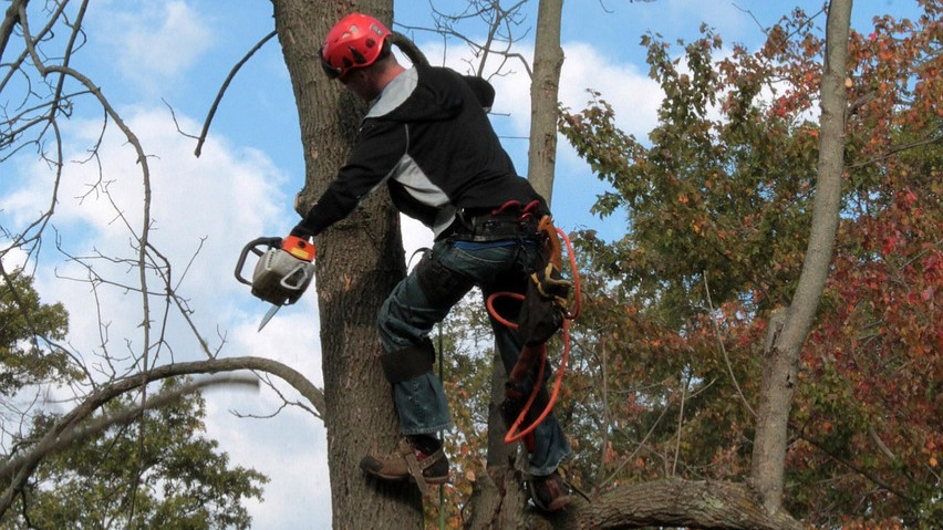 Halbseitige Sperrung Ernst-Haeckel-Straße