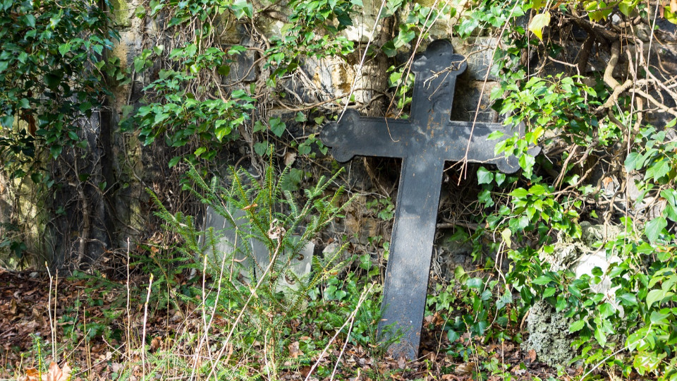 Friedhofsbeirat stellt Bericht vor – Engagierte gesucht