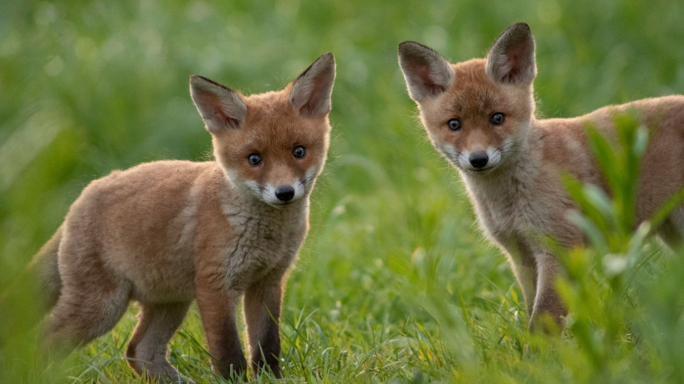 Von hier bis ans andere Ende der Welt… 