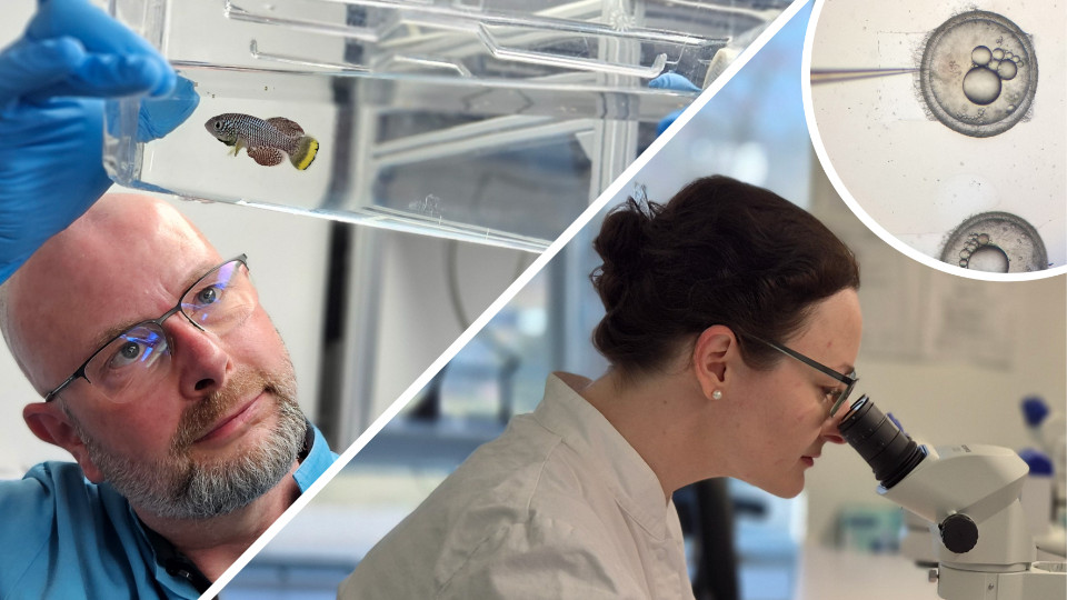 Neue Organisationseinheit am FLI