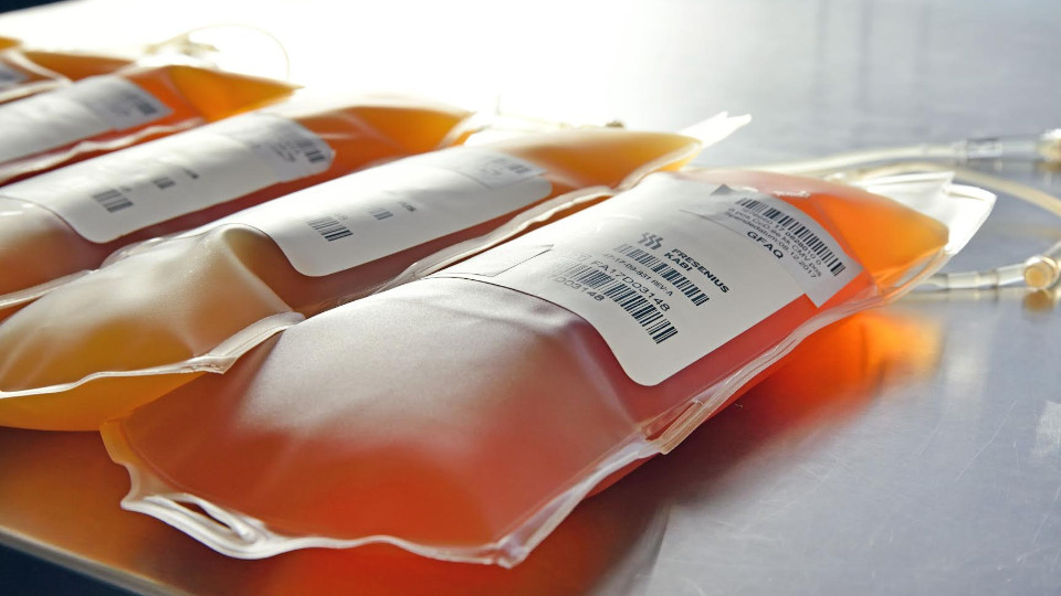 Blutspende: Langen Plasmatag am 10. März