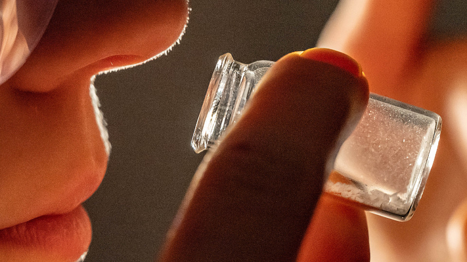 Forschungsprojekt zur Wahrnehmung und Klassifikation von Gerüchen