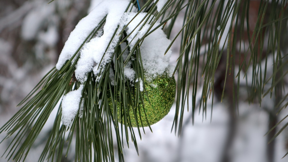 Weihnachtsbäume in den Jenaer Ortsteilen