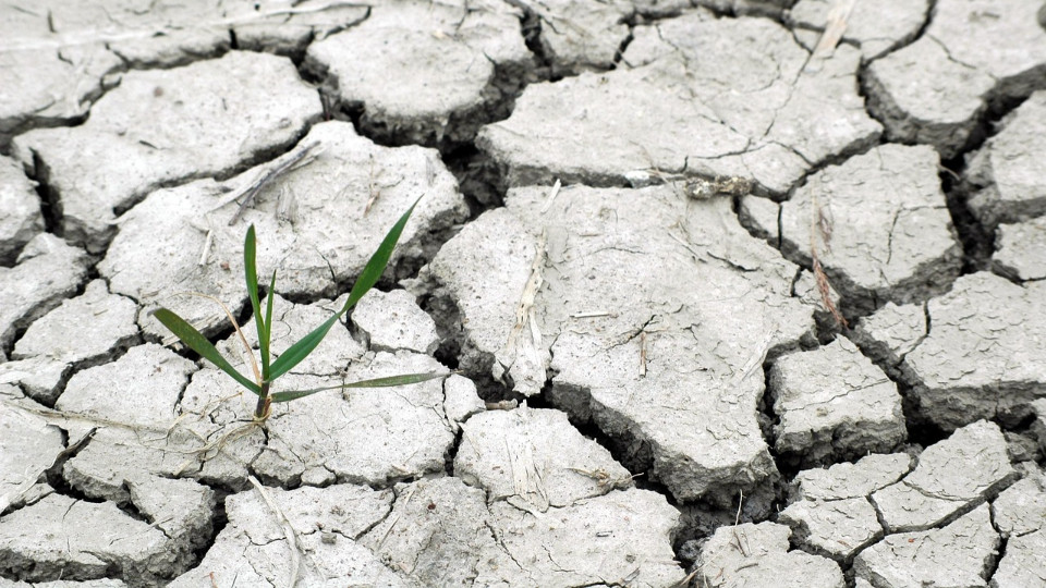 Tag des Gesundheitsamtes 2025